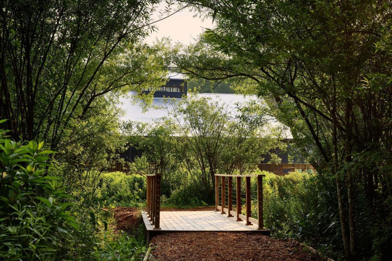 Callicoon Hills Callicoon Center 외부 사진