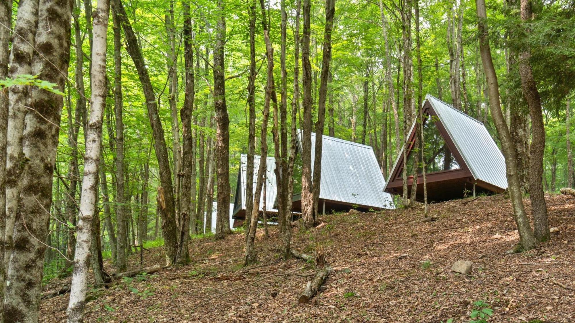 Callicoon Hills Callicoon Center 외부 사진